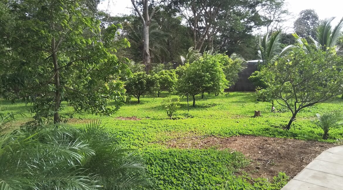 20260331_150249